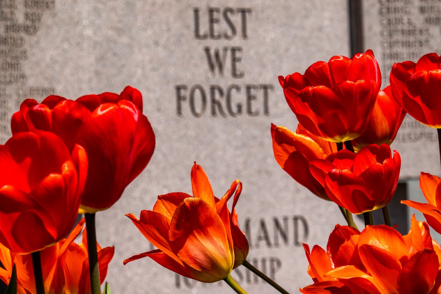 Wolfe Island’s Dedication to Remembering Heroes
